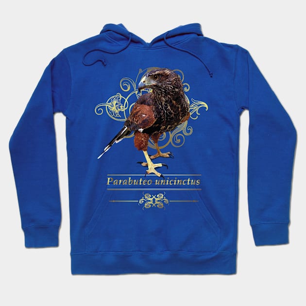 La aguililla rojinegra Hoodie by obscurite